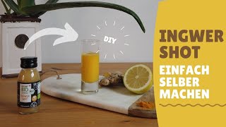 Ingwer Shot Rezept  Einfach selber machen und Müll sparen  Zero Waste Küche [upl. by Amein]