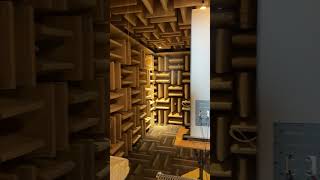 Arendal Sound 1528 Tower 8 in the NRC Anechoic Chamber [upl. by Chrisoula514]