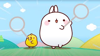 Molang y Piu Piu atrapando mariposas  Temporada 1 Episodio 16  dibujos animados para niños [upl. by Aniarrol]