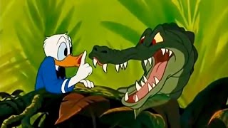 DONALD DUCK All Cartoon Full Episodes New English Compilation 2015 [upl. by Brenna]