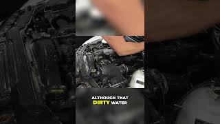 Engine Bay Cleaning Myths Debunked for a Safe Shine pyramid hurricane [upl. by Lakim]