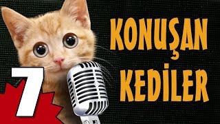 Konuşan Kediler 7  En Komik Kedi Videoları [upl. by Cha]