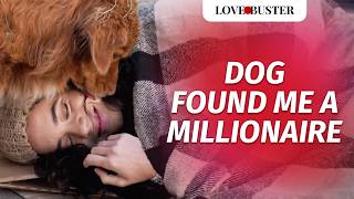 Dog Found Me A Millionaire  LoveBusterShow [upl. by Varin]