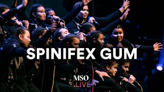 MSO  Spinifex Gum Streaming NOW on MSOLIVE [upl. by Berri]