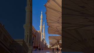 Madina sharif new shortvideo [upl. by Idden391]