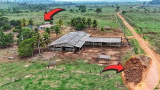 Excelente propriedade Rural a venda em São Félix do xingu Pará Fazenda 26 alqueires [upl. by Ameen]