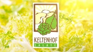 Frisée Salat vom Keltenhof [upl. by Ardnahc82]