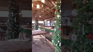 CHRISTMAS MARKETS ARE STARTING alabasteracres ontario Christmas ontarioroadtrip [upl. by Harlow]