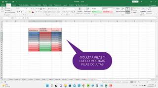 Ocultar y mostrar filas en EXCEL [upl. by Powder588]