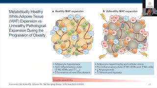 Adipose tissue as endocrine organ [upl. by Eelorac218]