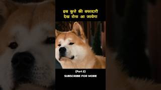 Hachi a dogs tale movie explainedshortsmovie [upl. by Asyral414]