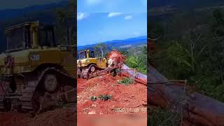 How Dozer Uproot Tree On Top of Mountain [upl. by Aysahc402]