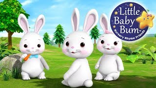 Bunnies Bunnies  Nursery Rhymes for Babies by LittleBabyBum  ABCs and 123s [upl. by Shaina403]