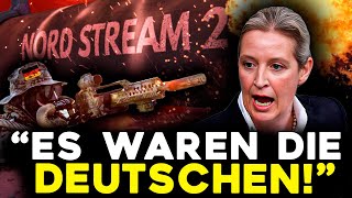 BLITZMELDUNG Alice Weidel LÜFTET GEHEIMNIS wer Nord Stream ZERSTÖRT hat [upl. by Haleigh812]