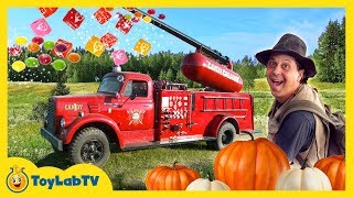 Halloween Pumpkin Patch Adventure amp Giant Maze Family Friendly Kids Activities amp Surprise Toys [upl. by Ynotna]