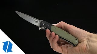 Bestech Swordfish Folding Knife Overview [upl. by Akedijn]