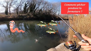 Comment Pêcher pendant la fermeture  Drop Shot au ver [upl. by Xymenes]