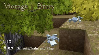 Schachtelhalm und Pilze LP Vintage Story 119 deutsch 027 [upl. by Kirwin]