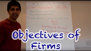 Y2IB 10 Objectives of Firms  Profit Max Rev Max Sales Max Satisficing [upl. by Ailhad]