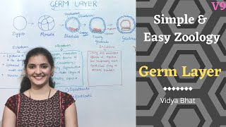 Germ Layers  Formation  Ectoderm  Endoderm  Mesoderm  Derivatives Diploblastic  Triploblastic [upl. by Ttehc515]