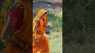 Chand Tare phool Shabnam shortvideo [upl. by Lledraw]