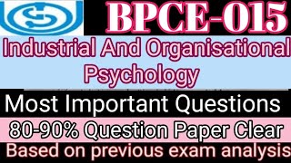 BPCE015  bpce 15 important questions [upl. by Kiyoshi]