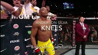 Anderson Silva Knees [upl. by Lev]