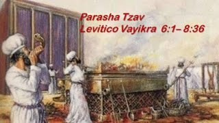 25  Torah Parsha Tzav give command [upl. by Jarnagin]