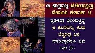 ಹುತ್ತದಲ್ಲಿ ಬೆಳೆಯುತ್ತಿತ್ತು ದೇವಿಯ ಕೂದಲು  I Hulikal Nataraj Exclusive videoI Hulikal Nataraj [upl. by Nairim]