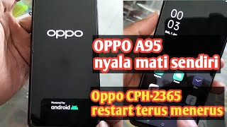 OPPO A95 restart sendiri nyala mati sendiri mentok logo Oppo [upl. by Alek]