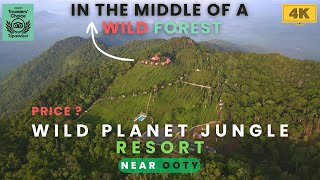 Wild Planet Jungle Resort  A Nature Lovers Paradise  Devala  Nilgiri  Near Ooty  Best Resort [upl. by Otrebireh]