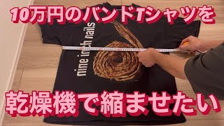 【縮むの？】ヴィンテージTシャツの着丈を短くするためにドラム式洗濯機の乾燥機能で検証してみた [upl. by Iives]