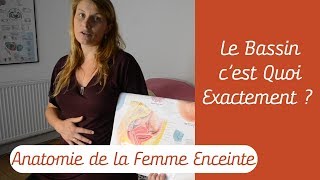 Le Bassin cest Quoi  Anatomie de la Femme Enceinte [upl. by Heywood]