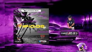 SON TIPICOS MIX 2024🎸 DJABDIELMIX PANAMA 🎶 BY NGCREWPTY P ORTEGA💣⚡🎶🎵✨MIX TIPICO NUEVO [upl. by Atisor]