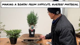 Making Bonsai from Difficult Nursery Material [upl. by Aliled]