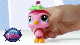 Littlest Pet Shop  Bobble Toys [upl. by Murton]