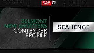 Belmont Stakes New Shooter  Seahenge [upl. by Ecinrev]