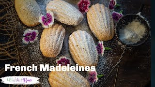 French Madeleines Recipe [upl. by Peery208]