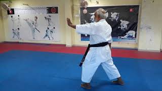 Shisochin Kata Performed by Hanshi V SASIDHARAN [upl. by Arimaj]