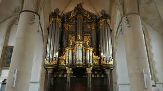 Sietze de Vries demonstrates the glorious Groningen Martinikerk organ [upl. by Nyl]