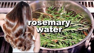 ROSEMARY WATER FOR HAIR GROWTH  DIY Rosemary Water Recipe amp How To Use It [upl. by Ynnej]