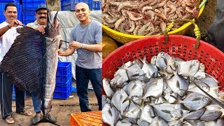 Mangalore’s LARGEST SEAFOOD MARKETIncredible Variety Of SeafoodMangalore BUNDERAffordable Fresh [upl. by Aicetal935]