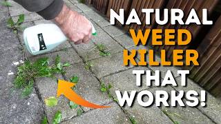 Homemade Weed Killer Really Effective amp Really Cheap [upl. by Tnerual]