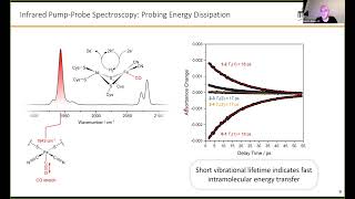 Hydrogenase Lectures 2022 Episode 7 Part 1 Marius Horch [upl. by Welcome]