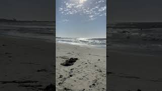 Asilomar state beach shorts [upl. by Eislel]