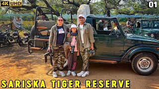 Sariska Tiger Reserve Stay in Vanbagh Eco Luxury Resort [upl. by Griggs]