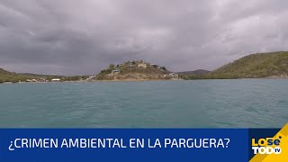 INVESTIGAMOS PORQUÉ SE APAGA EL BRILLO DE LA BAHÍA BIOLUMINISCENTE EN LAJAS [upl. by Sitoiyanap]