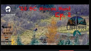 ‘23 BC Moose Hunt  Ep 2  Hunting BC ​cheechakooutdoors [upl. by Laubin]