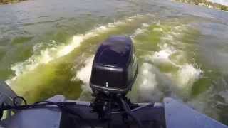 ELCO Electric Outboard Propulsion Florida [upl. by Cammy]