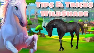 4 Most Useful Basic Tips  Tricks when Playing Wildshade [upl. by Ruffi]